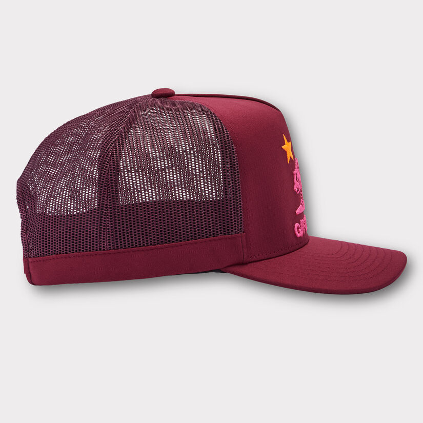 CALIFORNIA INTERLOCK KNIT TALL TRUCKER HAT image number 3