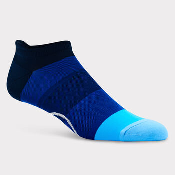 OMBRE STRIPE LOW SOCK