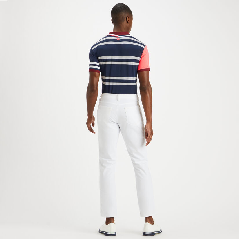 VARIEGATED STRIPE TECH JERSEY RIB COLLAR SLIM FIT POLO image number 5