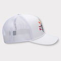 PLAY NICE TRUCKER image number 4