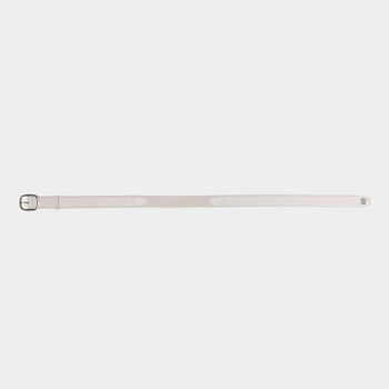 CIRCLE G'S WEBBED BELT