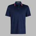 PERFORATED STRIPE JERSEY POLO image number 1