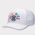 PLAY NICE TRUCKER image number 1